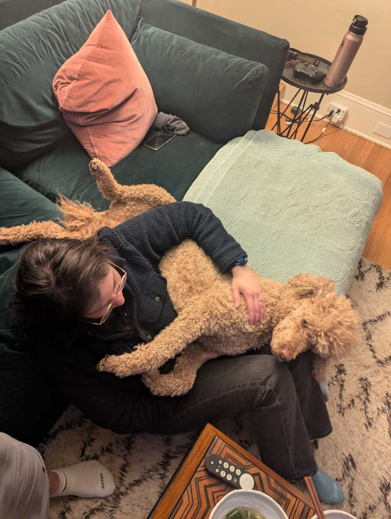 Tutis accusamus explicabo claustrum vilitas cernuus coerceo delinquo textilis.